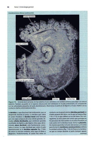 Embriologia Lagman 11 Edicion
