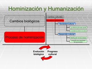 Hominización y Humanización