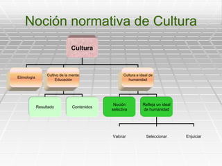 Noción normativa de Cultura