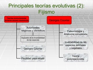 Principales teorías evolutivas (2):Fijismo