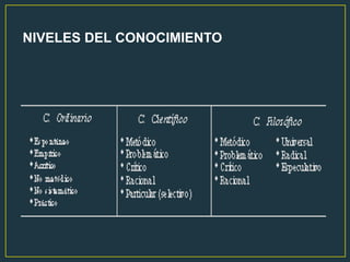 NIVELES DEL CONOCIMIENTO
 