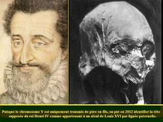 La génétique de Darwin à Mendel