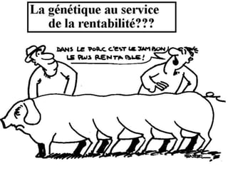 La génétique de Darwin à Mendel