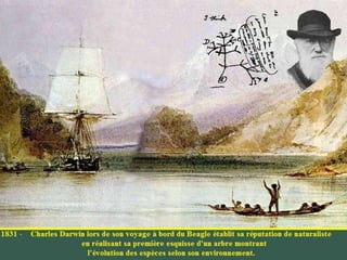 La génétique de Darwin à Mendel