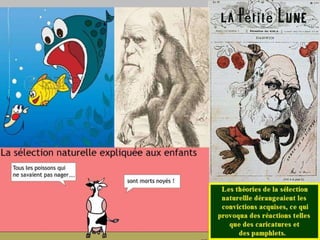 La génétique de Darwin à Mendel