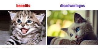 benefits

http://www.pet-vice.com

disadvantages

http://hellinahandbasket.net

 