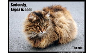 Seriously,
Lagoa is cool.

The end

 