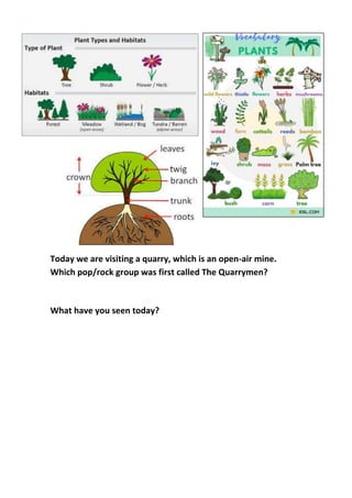Today we are visiting a quarry, which is an open-air mine.
Which pop/rock group was first called The Quarrymen?
What have you seen today?
 