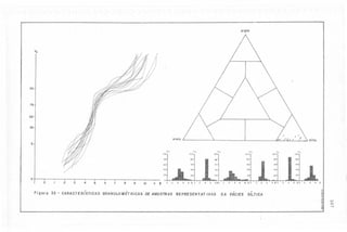.'
Argila

%

95

75

50

25

Areia

Si/te

5
0/0

0/0

0/0

0/0

o

I

2

.
Figuro

33

-

3

4

,

5

6

7

.

.

8

9

.
10

.

" ~

100]
80

60

60

O/o

60

40

40

20

.

80

40

.

80

60

I

100

80

0-

0/0

100

.00

!O

o

10Õ

6

8

.

'00

80

2

o

CARACTERISTlCAS GRANUlOMETRICAS DE AMOSTRAS REPRESENTATIVAS

80
60

40

6

8

.0. o

2

4

,
I
DA fACIES SllTICA

6

40

20

I

40j
20

o

.00

20

..c

8. o

6

.o

4

6 .
'"
.~
~
.';;;
.~
<;
<::
;.;
..
~

......
o
J

 