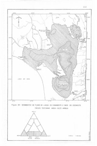 -I

112

---50" 50'
~

50°45'

' -<::-".

"30°'0'-1

-30"10'

"-

-~15

30"15' li
I
i

:

.-,--i

!

,

,

-"t:~'v"1

-30"20'
f

.-~.

;

-30.20'
'."

; -.,'
1>

_!-

~

,,/

L ilr;OA

30°25'

IJOS

PATOS

-,'O_,

-,

'30"25'

..

:::,:,r-rLJ,'
.,
.
I'
,

.,'

~::::::-:_-:":J-=:::

1
o'

.-

'"

/
'-30°3(1

50°-50'

,..

50"45'

,Fj gUra 34

- SEDIMENTOS DE FUNDO DA LAGOA DO CASAMENTO E SACO
,
FACI ES TEXTURAIS

AREIA

DO COCURUTO

- SILTE - ARGILA

ARGILA

AREIA

SILTE

AREIA
SILTlCA

SILTE
ARENOSO

E SCA LA

"~
õ
"~
..
I: 200.000

-~
I'
.$

 
