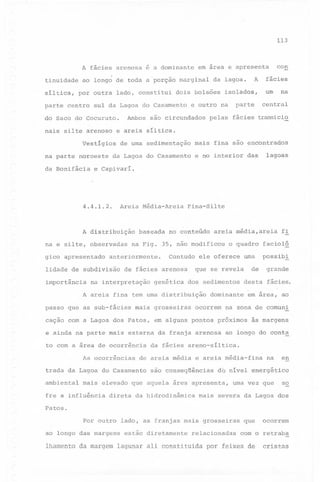 113

A fácies arenosa
tinuidade
síltica,

é a dominante

ao longo de toda a.porção
por outra

parte centro

lado, constitui

do Saco do Cocuruto.
nais silte arenoso

na parte noroeste

Ambos

dois bolsões

são circundados

A

isolados,

parte

e outro na

de uma sedimentação

fácies
um

na

central

pelas fácies transicio

mais fina são encontrados

da Lagoa do Casamento

e no interior

das

lagoas

e Capivarí.

Areia Média-Areia

4.4.1.2.

A distribuição
na e silte, observadas
gico apresentado

baseada

Fina-Silte

no conteúdo

areia média, areia fl

na Fig. 35, não modificou

anteriormente.

lidade de subdivisão
importância

da lagoa.

e areia síltica.

Vestígios

da Bonifácia

marginal

sul da Lagoa do Casamento

con

em área e apresenta

Contudo

de fácies arenosa

na interpretação

genética

ele oferece

uma

de

que se revela
dos sedimentos

A areia fina tem uma distribuição
passo que as sub-fácies

o quadro

mais grosseiras

possibl
grande

desta fácies.

dominante

ocorrem

facioló

em área, ao

na zona de comunl

cação com a Lagoa dos Patos, em alguns pontos próximos

às margens

e ainda na parte mais externa da franja arenosa ao longo do aonta
to com a área de ocorréncia
As ocorrências

de areia média e areia média-fina

trada da Lagoa do Casamento
ambiental

da fácies areno-síltica.

são conseqüências

direta da hidrodinâmica

en

do nível energético

mais elevado que aquela área apresenta~

fre a influência

na

uma vez que

so

mais severa da Lagoa dos

Patos.
Por outro lado, as franjas mais grosseiras
ao longo das margens

estão diretamente

relacionadas

que

ocorrem

com o retraba

lhamento da margem lagunar ali constituida por feixes de

cristas

 