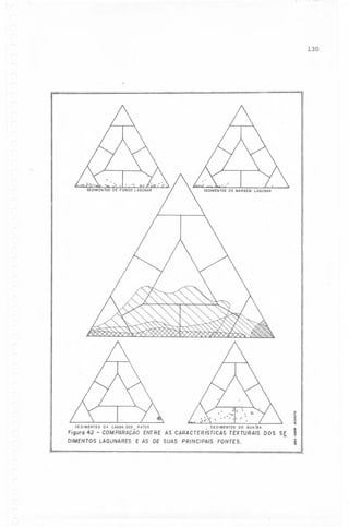 130

--.

",

"
.,~
.-'"
SEDIMENTOS
DA LAGOA
DOS PATOS

SEDIMENTOS
DO GUAIBA

F;gurd 42 - COMPARAÇÃOENTRE AS CARACTERiSTlCAS TEXTURA/S DOS S~
DIMENTOS LAGUNARES E AS DE SUAS PRINCIPAIS FONTES.

-

--'-'--.-

..

.~

i

 