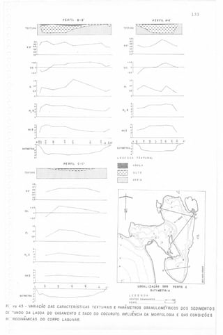 133

a-s'

PERfiL

PERFIL A-A'

L~~~~;~~~;z_:I.

TEXTURA

TEXTURA

F.j

~~~~-

::::
::::

-:-:':-:':-:':-:':-.. -- - - ---- - -- - .......
- ::-:.:.:.:"
'-'-~~'

0'6
0.7
O,,
KG' 0.5
04

0.2

'"

- -------------------.....
- -- - - - - -

~
.

""""
':::...

j

~.~~

0:31
0,2

~OO
51<,'J-.

,~--~~=

-o.oJ~

---

,.O

/

l~

-~~-/
..-

:~
lC

~

., ::1
o

,.,-..,

--.-------.

",'

. ..
---

.

1

-~

~

W':~~- '"
'"
a",,,, '"

..
'"

'"

==~=_..

'"
'"

o

'"

rc~----

:.

~

'" - ..a'

~7

--~

",'

~-

'.

aATlMfTRIA~ "7
-~--=--=-,
5'

-

./

Mz 4>2'
I
O

I

r--=--~-

/

,,51

.'::

oJ

SKI~O':I--0,5

~

11
A o

D
em

--
'"

..

BATlMETRIA:~-':?-~"!

3J

4

LEGENDA

PE RFIL

..

C-C'

"---

.. '"

--

..

y

'"

A'

TEXTURAL

ARGIL A
SI L TE

TEXTURA
[..::l0T~m0><:mu

A R EI A

~:;1
I<G' D.ei
1
~=

-~

.-----------

0.3
0.21

r-------.

SI<,~o'°
o
- 0.0

r-

-7"---

---------

/'

)
"O

I.~
(J",

i

0,5
o

,...----

'

5

Mz $

~

/~--------

-.

--- -----------..-

L

~
o

..5'

.' .

",'

jL

aATlMETRtA

-

'"
'"

;i~
41
~

Fi, !ro 43

<.;

------

"

'~

<ri
~

'-'-'-r!

o

C

i

..
..

'"
..

'--

N
..

~_/7

----

VARIAÇÃO DAS CARACTERiSTlCAS

-

'"

LOCAL 11 AÇÃO DOS
BATI METRI A

C'

PERFIS E

LEGENDA
VENTOS DOMINANTES
PERFil.,

.. ~
~'

TEXTURAIS E PARÂMETROS GRANULOMÉTRICOS DOS SEDIMENTO
S

Df -:UNDO DA LAGOA DO CASAMENTO E SACO DO COCURUTO, NFLUÊNCIA DA MORFOLOGIA E DAS CONDICÕ ES
I
W ROD/NAMICAS DO CORPO LAGUNAR.

 