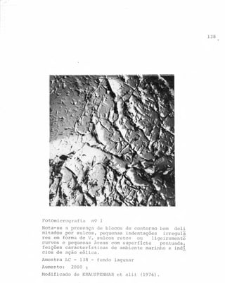 138
.

Fotomicrografia

n9 1

Nota-se a presença de blocos de contorno bem deli
mitados por sulcos, pequenas indentações
irregul~
res em forma de V, sulcos retos
ou
ligeiramente
curvos e pequenas àreas com superficie
pontuada,
feições caracteristicas de ambiente marinho e indi
cios de ação eólica.
Amostra

LC

Aumento:
Modificado

-

138

-

fundo lagunar

2000 X
de KRAUSPENHARet

ali i (1976)
.

 
