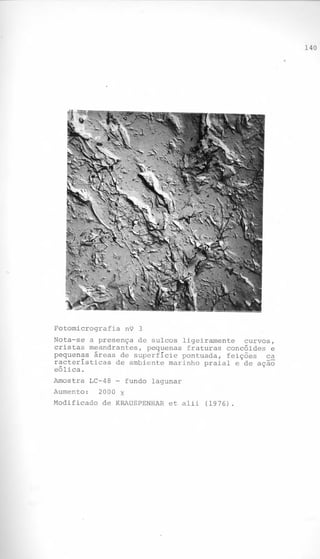 140
.

c,.

Fotomicrografia

n9 3

Nota-se a presença de sulcos ligeiramente
curvos,
cristas meandrantes, pequenas fraturas concóides e
pequenas áreas de superfície pontuada, feições
ca
racterísticas de ambiente marinho praial e de ação
eólica.
Amostra

LC-48 - fundo lagunar

Aumento:
Modificado

2000 X
de KRAUSPENHAR

et alii

(1976)
.

 