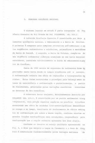 16

2.

PANORAMA

O sistema
víncia Costeira

do Rio Grande do Sul

geológicos

O primeiro

Província
maiores,

é composto

Ias seqüências

subsidente,

da

e vulcânicas,

instalada

clástica

tectonicamente

Pelotas.

pré-cambriano

e p~

e mesozóicas

de

Pelo tas , compõe-se

acumulada

e

por dois

paleozóicas

de

Pro

cit.).

e a Bacia de

cristalino

a Bacia

ob.

é constituida

o Embasamento

O segundo,

sedimentar

(VILLWOCKi

Costeira

pelo complexo

sedimentares

da Bacia do paraná.
urna seqüência

REGIONAL

lagunar em estudo é parte integrante

A referida
lementos

GEOL6GICO

em urna bacia marginal

na borda do embasamento a paE.

tir do Cretáceo.
Cerca de 1500 metros de espessura
positados

nesta bacia desde os tempos miocênicos

A sedimentação

rinhas.

retrata

taxas de subsidiência
do Pleistoceno,
no decorrer

VILLWOCK

a princípio

e sedimentação

governadas

encerrando

deste

conjunto

cuja porção

superior

urna série de unidades
e no tempo, resultante

tes de sedimentação

ma

pelo balanço entre as

a

partir

ocorridas

eustáticas

se observa

Fig. 2, a area que margeia
ruto é constituida

detalhadamente

por um pacote
expõe-se

descri ta por

sedimentar

na planície

lito-estratigráficas.
do deslocamento

litorânea
desconunuas

de vários

ambien

apresenta

responsáveis

pela

nos dias atuais.

no esboço geológico

a Lagoa do Casamento

fundamentalmente

tran§

região, conforme, atestam as

nela esculpidas,

que a região costeira

Conforme

,i

por sobre a mesma

feições morfográficas

configuração

recente.

e tr~nsgressões

e posteriormente,

pelas variações

(ob. cit.), é constituida

-regressivo,

o

até

da Era Cenozóica.

A cobertura

grandes

urna série de regressões

Estas foram controladas

no espaço

de sedimentos foram d~

apresentado

e o Saco do

pelos terraços marinhos

na
Cocu
da

 