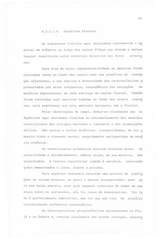 69

4.2.1.1.4.

Depósitos

Os sedimentos
terial em trânsito

Fluviais

fluviais

aqui analisados

representam

o m~

ao longo dos cursos d'água que drenam a margem

lagunar constituida

pelos materiais

descritos

anterio

nos ítens

res.
Para fins de maior representatividade
coletadas

tarito no fundo dos canais como nas planícies

ção adjacentes,
presentadas
mecânica

o que explica

deposicional

aqui abordados

constituintes

marelo

~

da

das variações

Também

tomadas no fundo dos canais

lagun~

apresenta

de campo, deduz-se

resultam

com o fluvial.

claramente

do retrabalhamento

dos terraços marinhos

e lagunares

são areias e areias lamíticas,
claro a cinzento

inunda

de regime fluvial.

que este ambiente

Pelas observações

de

foram

das características

conseq~ência

em cada sub-tipo

aqui amostras

res, pela semelhança

depósitos

a diversidade

por estes sedimentos,

foram incluidas

eólicas.

as amostras

dos materiais

e das acumulações

inconsolidadas,

escuro, seguidamente

os

que

de cor

enriquecidas

~

em maté

ria orgânica.
Os constituintes
esfericidade

çoes de origem diversa,
la sua baixa energia,

texturais

diversos

ocorrendo

também é variável,

retratam

uma mistura

de

as quais o agente transportador,

quer pelo pequeno

atuou sobre os sedimentos,
to é perfeitamente

mostram

e lisos, foscos e polidos.

Tais aspectos

admissível,

sedimentos

4, revelam

intervalo

popul~
quer

p~

de tempo em que

não foi capaz de homogeneizar.
uma vez que sao rios

de

Tal fa
planície

quaternários.

As caracteristicas
19 e na Tabela

bem

A textura superficial

graos mamelonados

retrabalhando

de

embora sejam, em sua maioria,

e arredondamento,

trabalhados.

graus

grosseiros

granulométricas

igualmente

apresentadas

na Fig.

uma grande variação,

ocorren

 