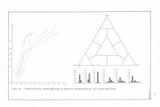 Argila

%

95

75

50

25

Silte

Areia
5
'I,
100

"'

80

60

40~'

I

60

"'j
40

zo

o

2

o
Fi guro

20

3

-

4

5

6

7

8

9

10

"

~

Ó

4

Z:
o

Z

'I,
100

'I,
100

100

I

80

80

60

'I,

'I,

'I,

80

80

J

80

60

60

40

ZO
4

O'

CARACTERISTICAS GRANULOMÉTRICAS DE AMOSTRAS REPRESENTATIVAS DE FLUVIO

o

4

6

o
8 ~ o

o
2

6 .

o

4

8 .

- DELTÁIC OS
.~
~
.~
.~
"
.;
~

J
W

 