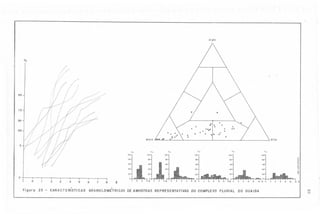 "

Argila

°/.

95

75

.

.
. .... . .. . ..
. . .
. .
. . . . .. .. .

50

25
Areia

Si/te

5

'/,

'/,

'/,

100

100
80

80

'/,

'/,

100

80

100

'/,

100

rOO

80

.~
..
.~
..
.~
<:
li
~

80

60
40

o

40

20

20

o

o

Figuro

2

23

-

3

-

4

5

6

7

8

~

Õ

2

o

2

4

6

4

6

8

o
10 12~ o

o
2

4

6

8

10.

,
,
CARACTERISTI
CAS GRANULOMETRICAS DE AMOSTRAS REPRESENTATIVAS DO COMPLEXO FLUVIAL DO GUAIBA

o

6

10

12.
CX>
O

 