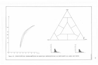 Argila

0/0

~

95

75

50

25

Areia
5
'/,

'/,
100

'00
80

60

40

40

20

o

86

60

20

o

O

Figuro 24

2

-

3

4

5
,-

6

7

8

9

10

~

Ó

2

4

6

8

10 .

o

o

I

CARACTER'STlCAS GRANULOMETRICASDE AMOSTRAS REPRESENTATIVAS DA PARTE NORTE DA LAGOA DOS PATOS

10

.

..
.'.~
..
.!!
ti
'"
.;
't

co
w

 