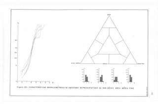 silte

0/0

95

75

50

25

Areio médio

Areio fino

5
O/o

o/o

o/o

100
80

80

80

80

60

60

L

'''j
46:

o/o

100

60

"°1

40

40

20

20

o.

r

o

2

3

4
,

5

6

01

~

o

2

.

4

I

Figuro 28 - CARACTERISTlCAS GRANULOMETRICAS DE AMOSTRAS REPRESENTATIVAS

o

o

2

4

2:o

.
,

2

4

o

.

o

,

DA SUB- FAC/ES AREIA MEDIA

2

FINA

t

"
.~
..
.~
C;;
.~
5
!>
.;
~

O
lT1

 