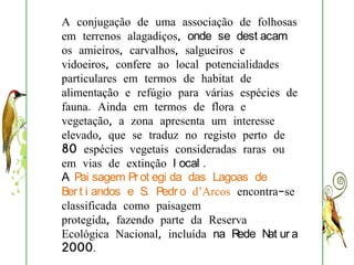 A conjugação de uma associação de folhosas
em terrenos alagadiços, onde se dest acam
os amieiros, carvalhos, salgueiros e
vidoeiros, confere ao local potencialidades
particulares em termos de habitat de
alimentação e refúgio para várias espécies de
fauna. Ainda em termos de flora e
vegetação, a zona apresenta um interesse
elevado, que se traduz no registo perto de
80 espécies vegetais consideradas raras ou
em vias de extinção l ocal .
A Pai sagem Pr ot egi da das Lagoas de
Ber t i andos e S. Pedr o d’Arcos encontra-se
classificada como paisagem
protegida, fazendo parte da Reserva
Ecológica Nacional, incluída na R  ede N ur a
                                         at
2000.
 