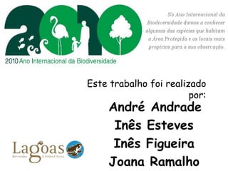 Este trabalho foi realizado
                        por:
     André Andrade
      Inês Esteves
      Inês Figueira
     Joana Ramalho
 