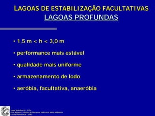 LAGOAS DE ESTABILIZAÇÃO FACULTATIVAS
           LAGOAS PROFUNDAS


  • 1,5 m < h < 3,0 m

  • performance mais estável

  • qualidade mais uniforme

  • armazenamento de lodo

  • aeróbia, facultativa, anaeróbia



Isaac Volschan Jr., D.Sc.
Prof.Adjunto - Depto. de Recursos Hídricos e Meio Ambiente
Escola Politécnica - UFRJ
 