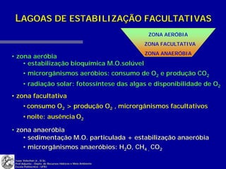 LAGOAS DE ESTABILIZAÇÃO FACULTATIVAS
                                                               ZONA AERÓBIA
                                                              ZONA FACULTATIVA
                                                              ZONA ANAERÓBIA
• zona aeróbia
    • estabilização bioquímica M.O.solúvel
      • microrgânismos aeróbios: consumo de O2 e produção CO2
      • radiação solar: fotossíntese das algas e disponibilidade de O2
• zona facultativa
      • consumo O2 > produção O2 , microrgânismos facultativos
      • noite: ausência O2

• zona anaeróbia
    • sedimentação M.O. particulada + estabilização anaeróbia
    • microrgânismos anaeróbios: H2O, CH4 , CO2
 Isaac Volschan Jr., D.Sc.
 Prof.Adjunto - Depto. de Recursos Hídricos e Meio Ambiente
 Escola Politécnica - UFRJ
 