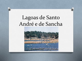 Lagoas de Santo
André e de Sancha
 