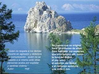 Se piensa que se originó  hace 25 millones de años. Está habitado por especies que solo existen allí, como  la foca del Baikal,  el pez omul, el esturión del Baikal  y el cangrejo  epishura , que mide 2 mm. "Quien no respeta a los demás incurre en agresión y deteriora la comunicación , quien no se respeta a sí mismo ante otras  personas acaba por explotar  y sentirse víctima.“ Autor:  Erwin  G.  Hall    