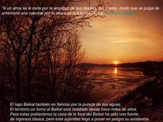 El lago Baikal también es famoso por la pureza de sus aguas. El territorio en torno al Baikal está habitado desde hace miles de años. Para estas poblaciones la caza de la foca del Baikal ha sido una fuente de ingresos básica, pero esta actividad llegó a poner en peligro su existencia.  "A un alma se le mide por la amplitud de sus deseos, del mismo  modo que se juzga de antemano una catedral por la altura de sus torres.“Autor:  Gustave Flaubert     