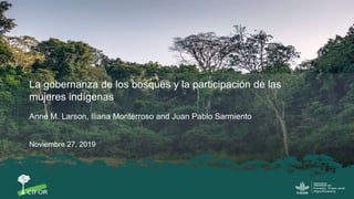 La gobernanza de los bosques y la participación de las
mujeres indígenas
Anne M. Larson, Iliana Monterroso and Juan Pablo Sarmiento
Noviembre 27, 2019
 