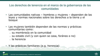 La gobernanza de los bosques y la participación de las mujeres indígenas