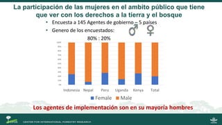 La gobernanza de los bosques y la participación de las mujeres indígenas