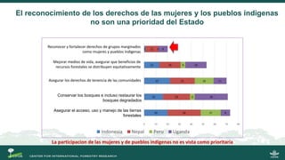 La gobernanza de los bosques y la participación de las mujeres indígenas