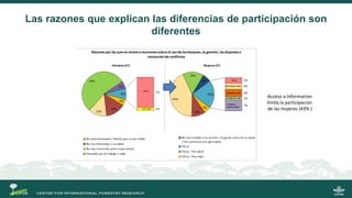 La gobernanza de los bosques y la participación de las mujeres indígenas
