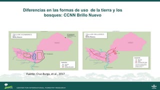 La gobernanza de los bosques y la participación de las mujeres indígenas