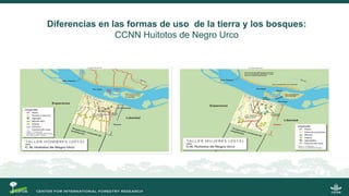 La gobernanza de los bosques y la participación de las mujeres indígenas