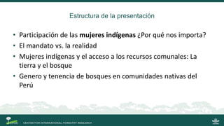 La gobernanza de los bosques y la participación de las mujeres indígenas