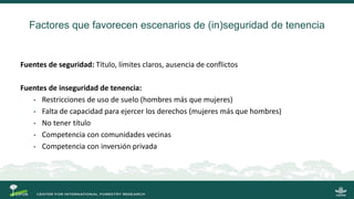 La gobernanza de los bosques y la participación de las mujeres indígenas
