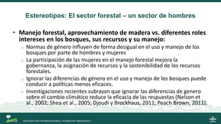 La gobernanza de los bosques y la participación de las mujeres indígenas