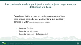 La gobernanza de los bosques y la participación de las mujeres indígenas