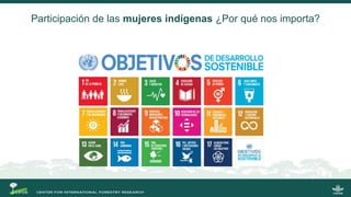 La gobernanza de los bosques y la participación de las mujeres indígenas