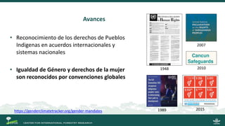 La gobernanza de los bosques y la participación de las mujeres indígenas