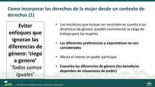 La gobernanza de los bosques y la participación de las mujeres indígenas