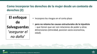 La gobernanza de los bosques y la participación de las mujeres indígenas