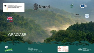 La gobernanza de los bosques y la participación de las mujeres indígenas