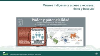 La gobernanza de los bosques y la participación de las mujeres indígenas