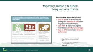 La gobernanza de los bosques y la participación de las mujeres indígenas